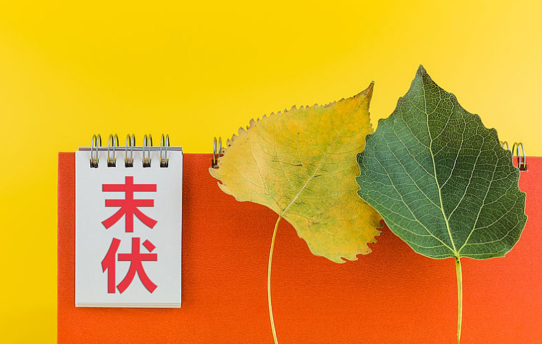 1658131945864394.jpeg 0e41403c9dacba74ecd85218adb8ac8f.jpeg